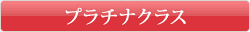 �v���`�i�N���X